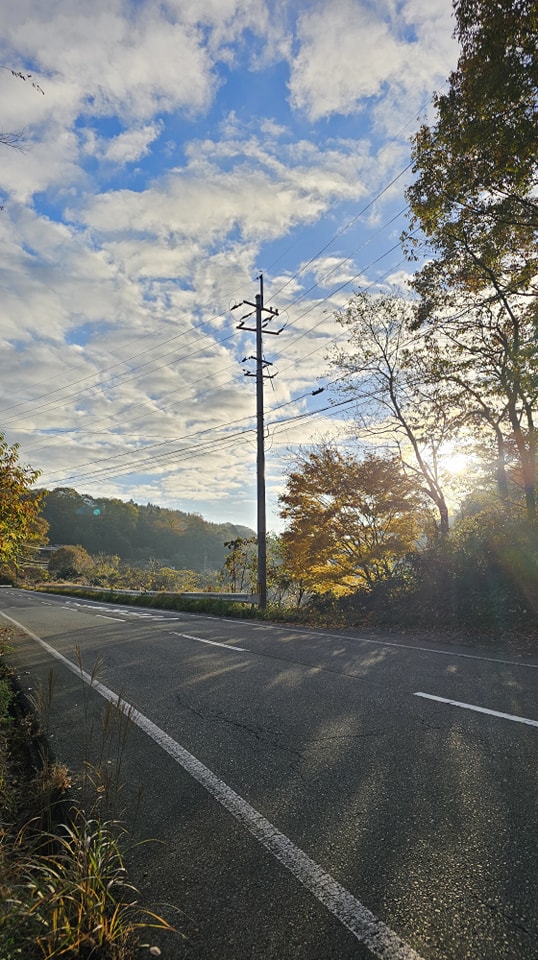 吉田の朝です。寒ーい。