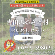 お試しセット